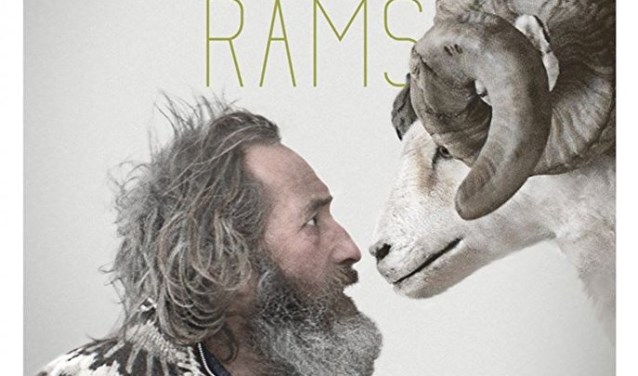 De film Rams in de Grote kerk in Halle. Foto: PR