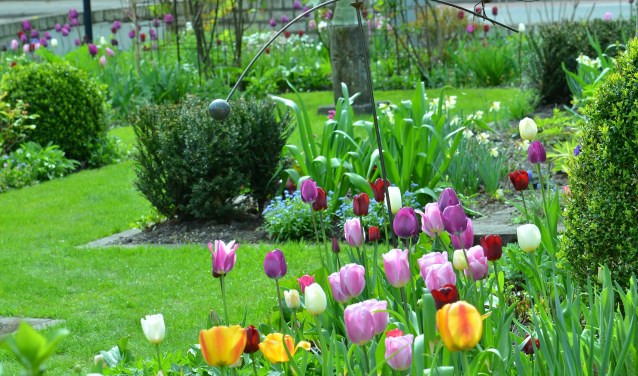 De tuin van de familie Bannink in Barchem. Foto: PR