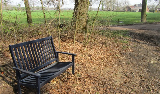 Het bankje in het Haverland. Foto: Bernhard Harfsterkamp