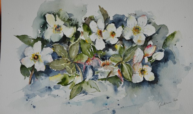 Een aquarel van Gudrun Schröck. Foto: PR
