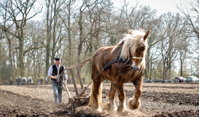 Nostalgisch ploegwerk trekt veel toeschouwers