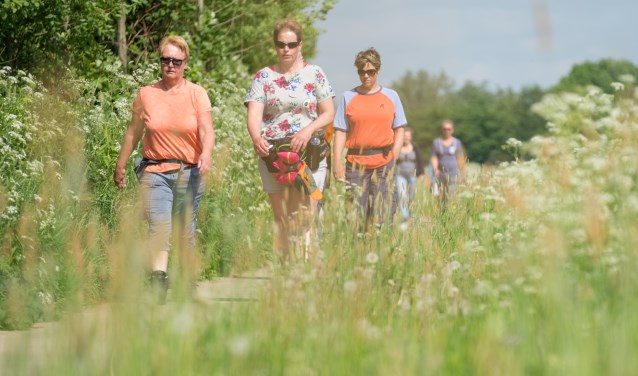 Achterhoekse Wandelvierdaagse, vlakbij sluizencomplex De Pol in Terborg. Foto: Burry van den Brink