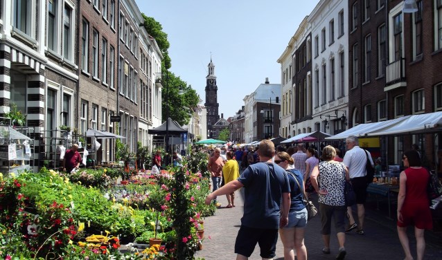 Tuin- en landgoedplanten op de Meimarkt in Zutphen. Foto: Richard Heeringa