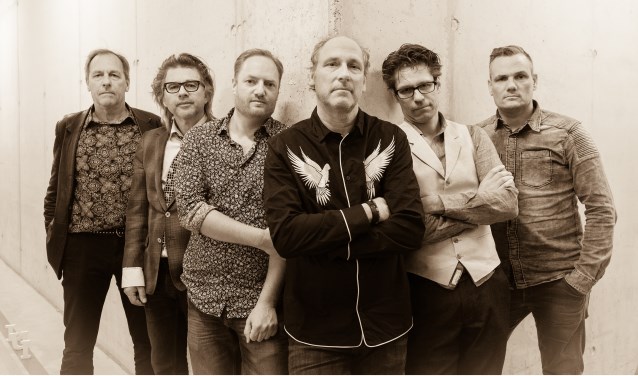 De band 'Lui Paard' centraal in het programma live@ideaal. Foto: PR