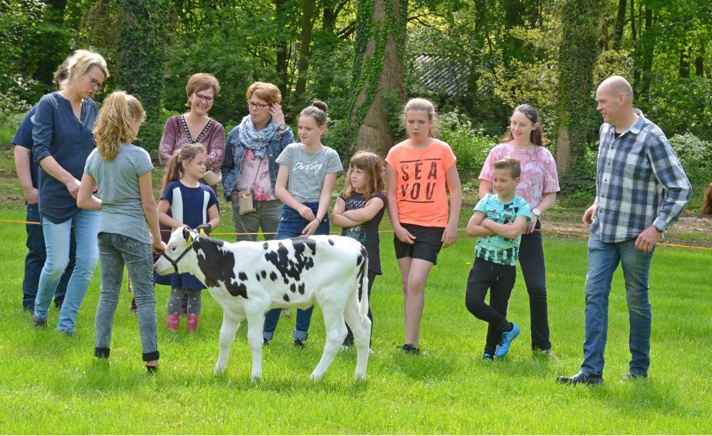 Tijdens de KOC instructieochtend krijgen deelnemers uitleg over het verzorgen van een kalf. Foto: Achterhoekfoto.nl/Johan Braakman