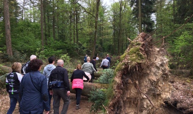 Wandeltocht in Montferland. Foto: PR