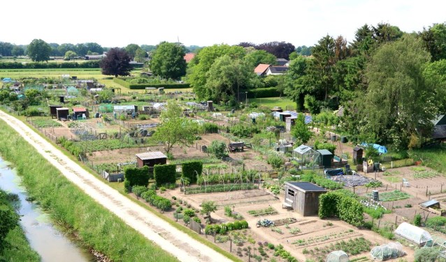 Het volkstuinencomplex in Vorden. Foto: Rob Schmitz