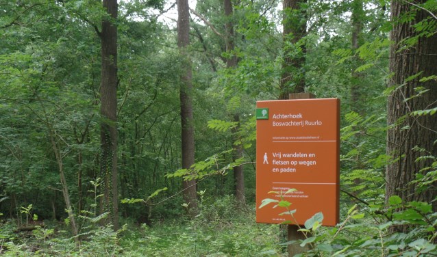 In Boswachterij Ruurlo wordt gedund en verjongd in een deel van het bos. Foto: PR