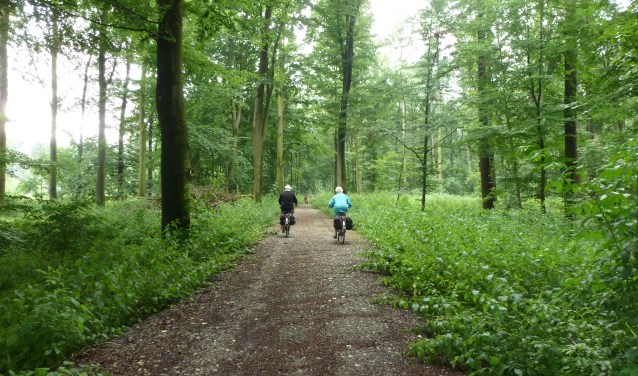 De route voert over fraaie paden. Foto: PR
