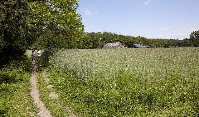 De bij Polweg 6 behorende landbouwgrond grenst aan Landgoed Hackfort van Natuurmonumenten. Foto: Laurence Delderfield
