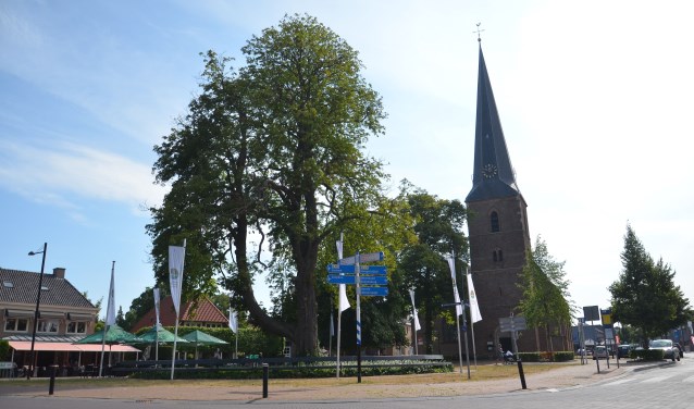 De monumentale witte paardenkastanje in Vorden. Foto; GinoPress B.V.
