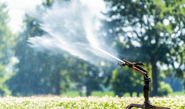 Sproeiers maken overuren door droogte. Foto: Henk van Raaij