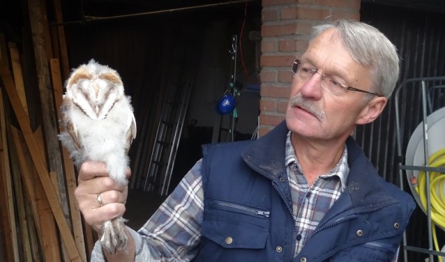 Dick Langwerden met een uilskuiken. Foto: PR