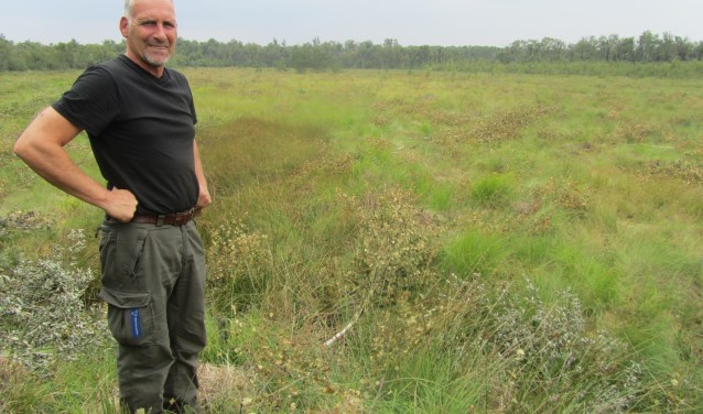 André Westendorp in het deel van de Meddoseveen waar berken zijn en worden verwijderd. Foto: Bernhard Harfsterkamp