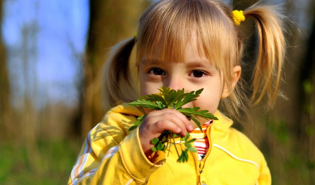 Kinderwandeling. Foto: Geldersch Landschap & Kasteelen