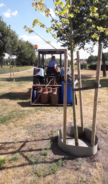 Twee keer in de week wordt driehonderd liter grondwater in melkbussen aangevoerd om de bomen van water te voorzien. Foto: PR.