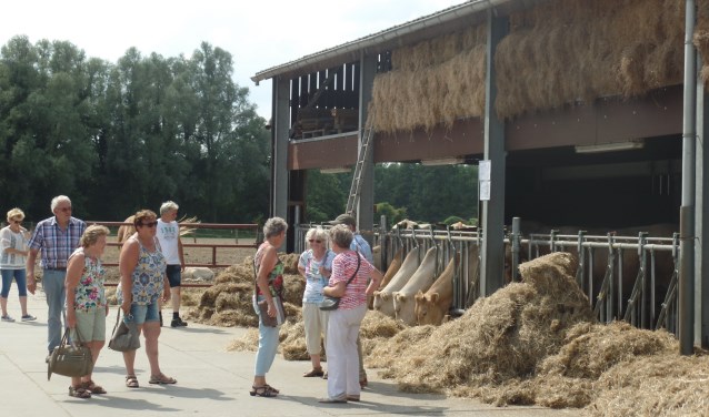 Als laatste werd het bedrijf van Wim en Linda Rietman aan de Baakseweg in Hackfort bezocht. Foto: Jan Hendriksen.