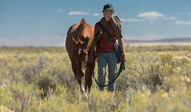 Lean on Pete is te zien in Filmhuis Barghse Huus. Foto: PR
