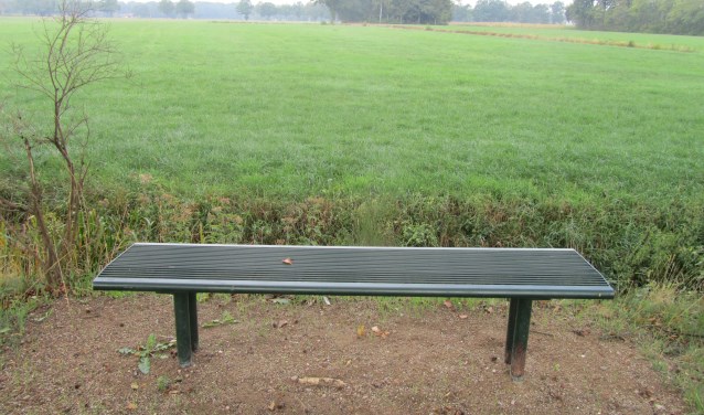 Het leuningloze bankje aan de Haverkampstegge. Foto: Bernhard Harfsterkamp