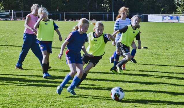 De meiden leerden diverse techniekoefeningen. Foto: Gerrie Evers, clubfotograaf zelos