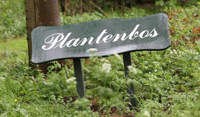Het Steenders Landschap gaat aan het werk in het Plantenbos. Foto: Liesbeth Spaansen