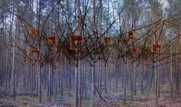 Foto: Trude Obbink