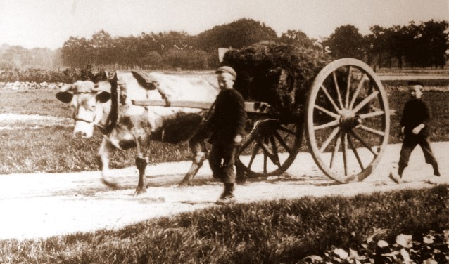 'Boern van Gistern, Alles geet veurbi'j'. Foto: Archief Staring Doetinchem