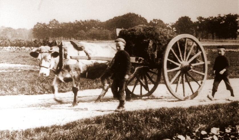 'Boern van Gistern, Alles geet veurbi'j'. Foto: Archief Staring Doetinchem