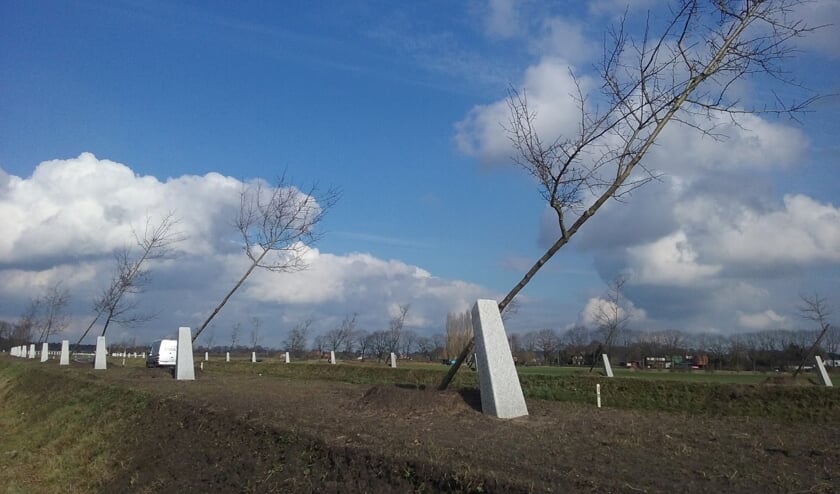 Het Witte Lint in Zutphen. Foto: PR