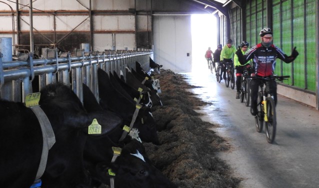 De tocht voert door een stal. Foto: Henk ter Horst