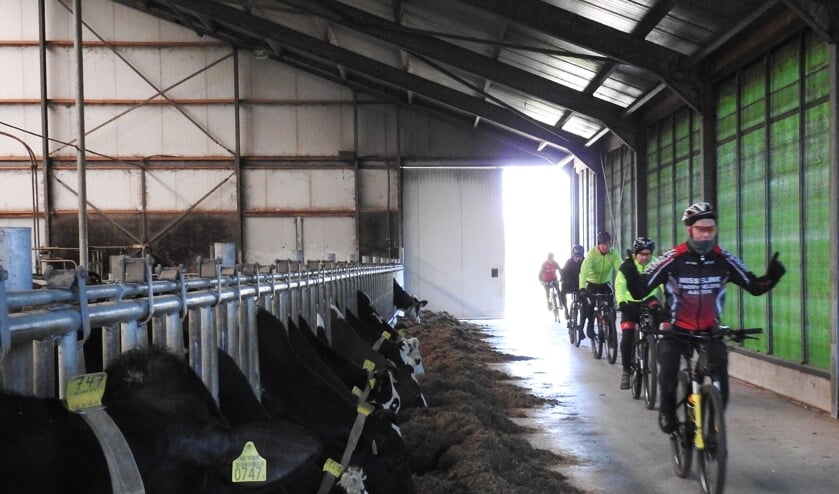 De tocht voert door een stal. Foto: Henk ter Horst