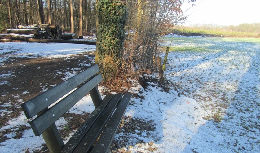 Het bankje aan de Driehonderdmeterweg. Foto: Bernhard Harfsterkamp