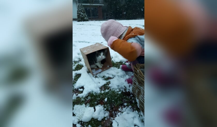 Wie heeft Fien gezien? Foto: Eigen foto