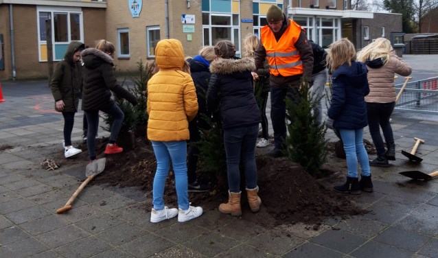 Leerlingen van groep 6/7 plantten meerdere bomen en struiken op het schoolplein. Foto: Lian Kormelink
