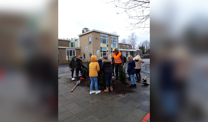Leerlingen van groep 6/7 plantten meerdere bomen en struiken op het schoolplein. Foto: Lian Kormelink
