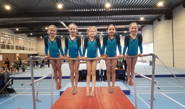Met succes namen de vijf RGV leden uit Ruurlo deel aan de wedstrijd. Foto: PR.