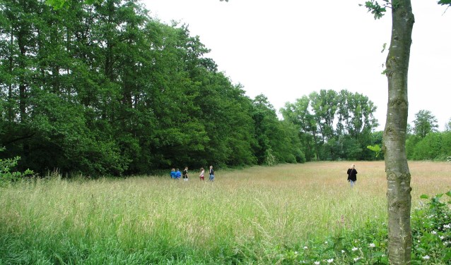 Het Aaltense Goor in juni met schoolkinderen die de natuur onderzoeken. Foto: Bernhard Harfsterkamp