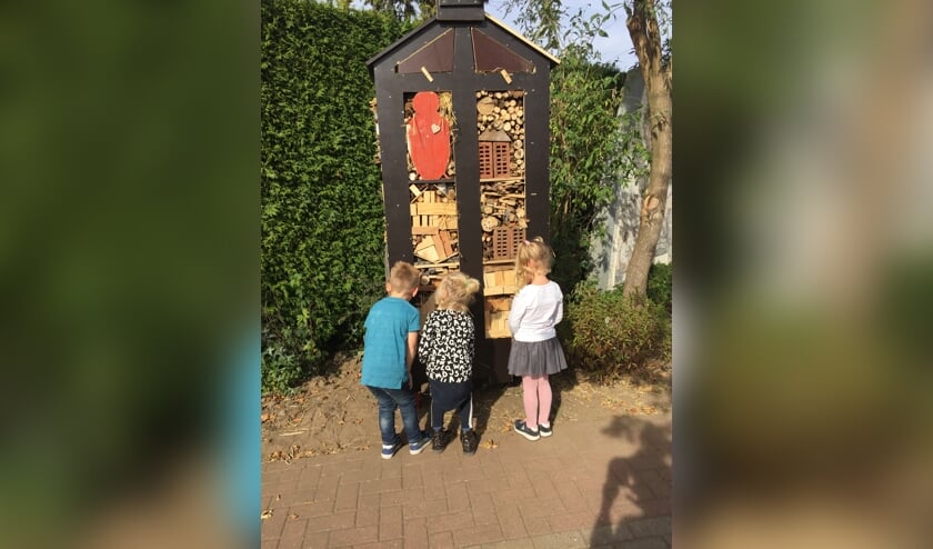 Men kan hobby's delen met de kinderen, bijvoorbeeld door ze meer bij de natuur te betrekken. Foto: PR