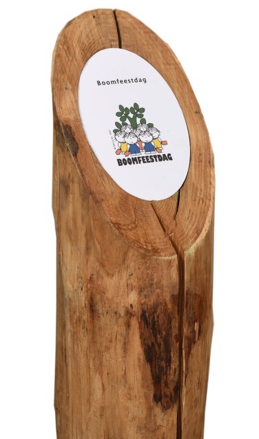Deze herdenkingspaal wordt officieel 'geplant' door een aantal basisschoolkinderen samen met GroenLinks Raadslid Dolf Logemann. Foto: PR
