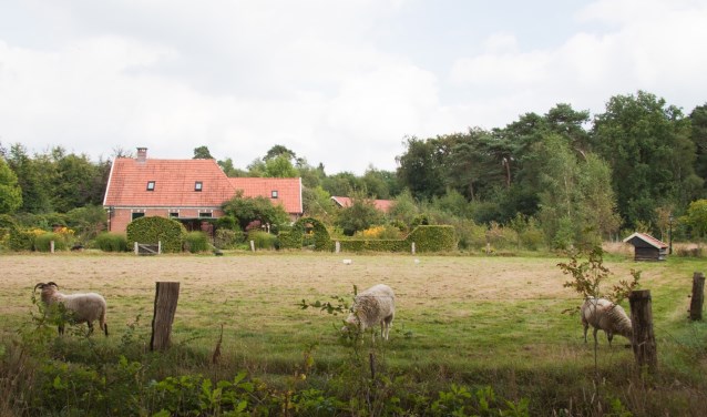 Seniorenwandeling over scholtegoed Gossink. Foto: Arie de Knegt