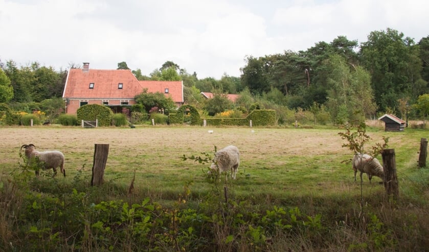 Seniorenwandeling over scholtegoed Gossink. Foto: Arie de Knegt