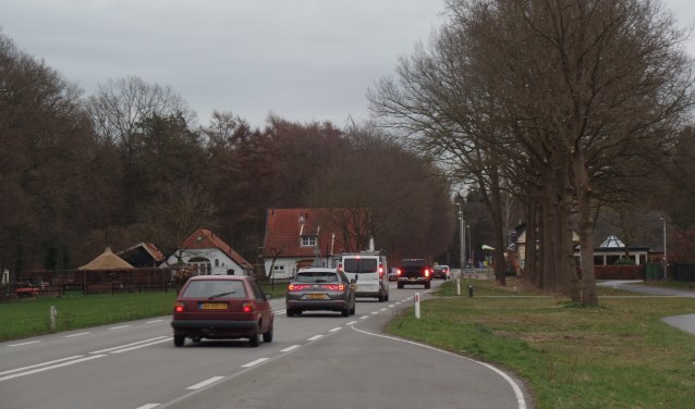 In het onderzoek is voornamelijk gekeken naar de herkenbaarheid van buurtschap Medler voor het verkeer dat op de N319 rijdt en het verbeteren van de omgevingskwaliteit van de buurtschap. Foto: Jan Hendriksen