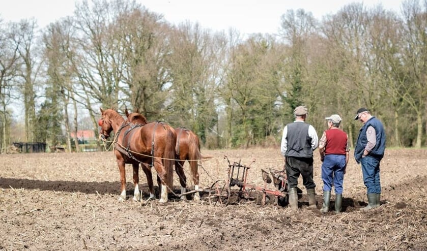 Ook vorig jaar was er een ploegdag. Foto: Gerben Olthof