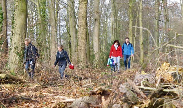 Wandelen in Winterswijk tijdens de 62ste Rode Kruis Wandeltocht. Foto: PR