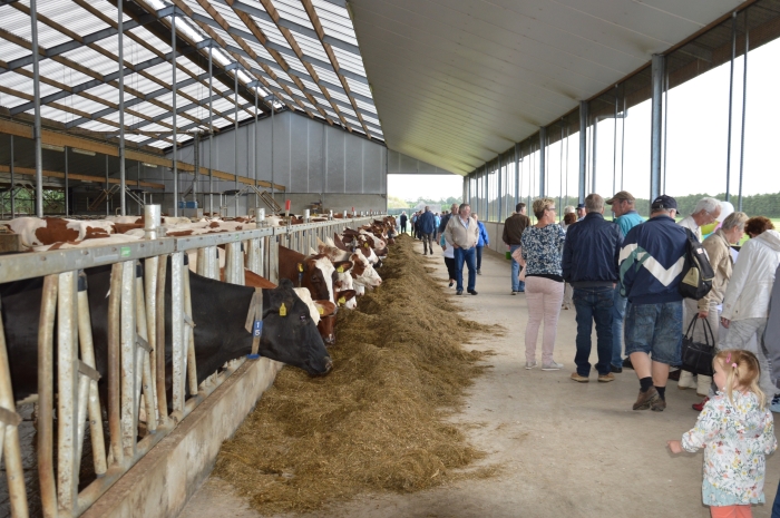 boerderij bezoek. 