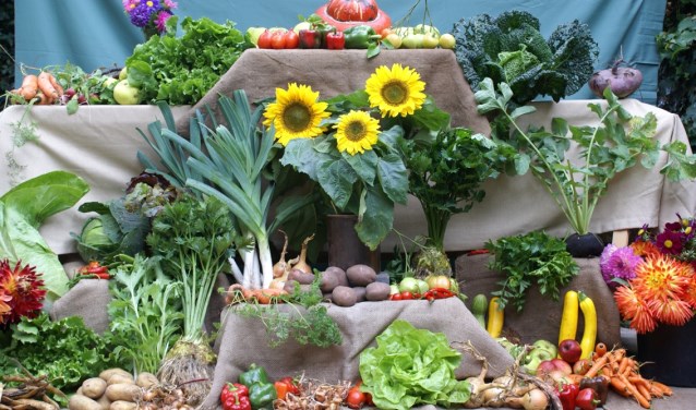 Groente uit eigen tuin. Foto: Jan Kuiperij