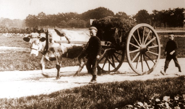 Klankbeeld 'Boer'n van gister'n, alles geet veurbi'j'. Foto: PR