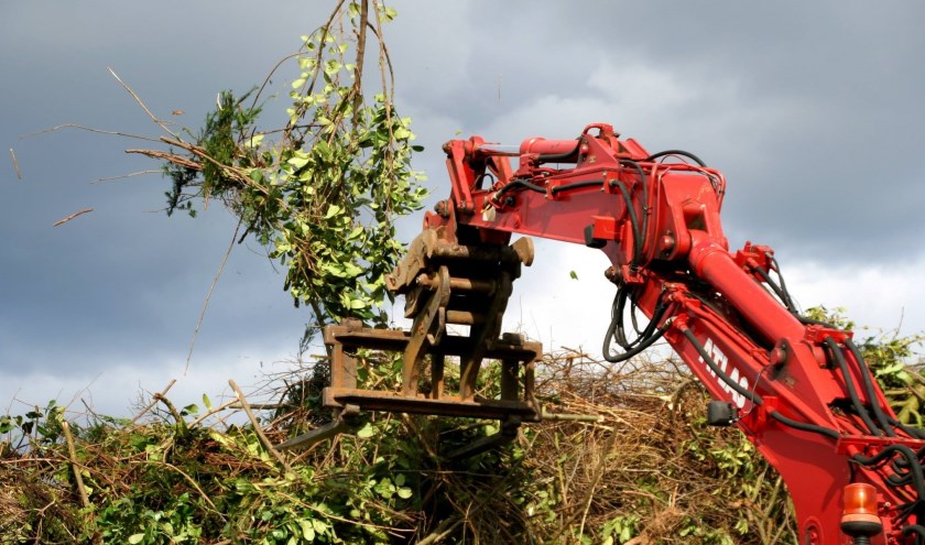 Foto: Paul Rijksen