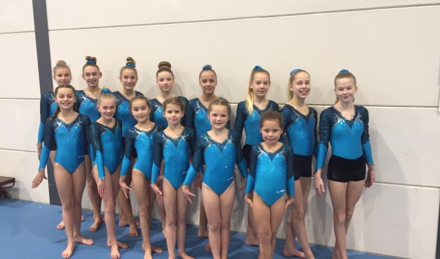 De turnsters van RGV die zich plaatsen voor de Regiofinale. Foto: PR.