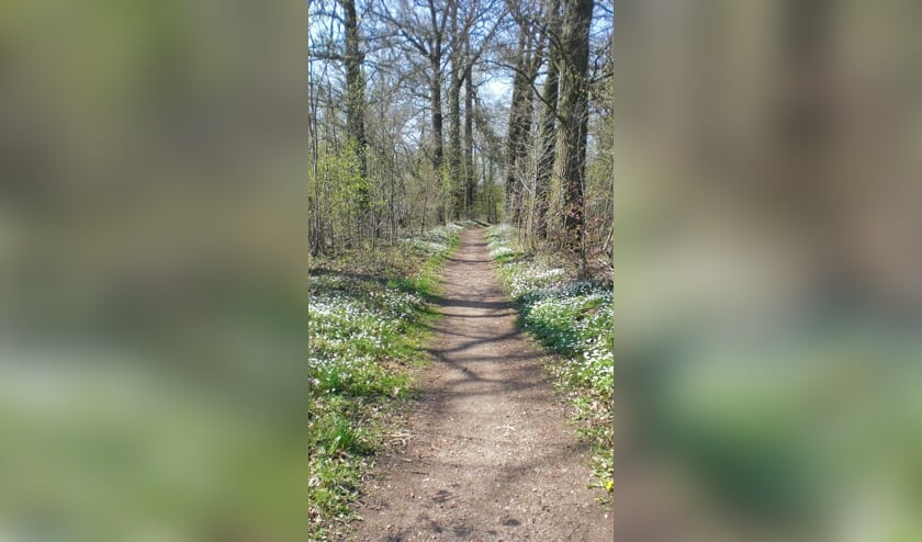 De tochten voer door de mooie omgeving van Borculo. Foto: PR